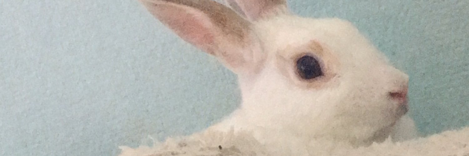 laksabeau's profile banner image