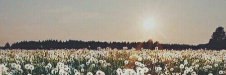 esmy1998's profile banner image