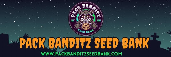 packbanditz Profile Banner