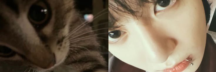 jinsfilter's profile banner image