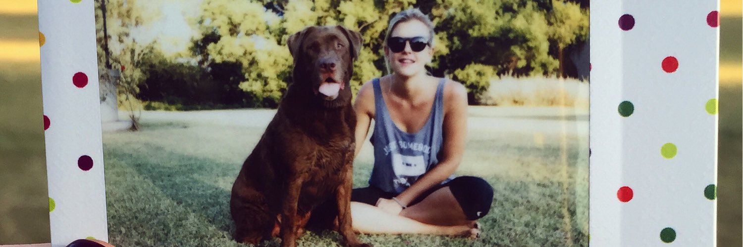 sofialdrey's profile banner image