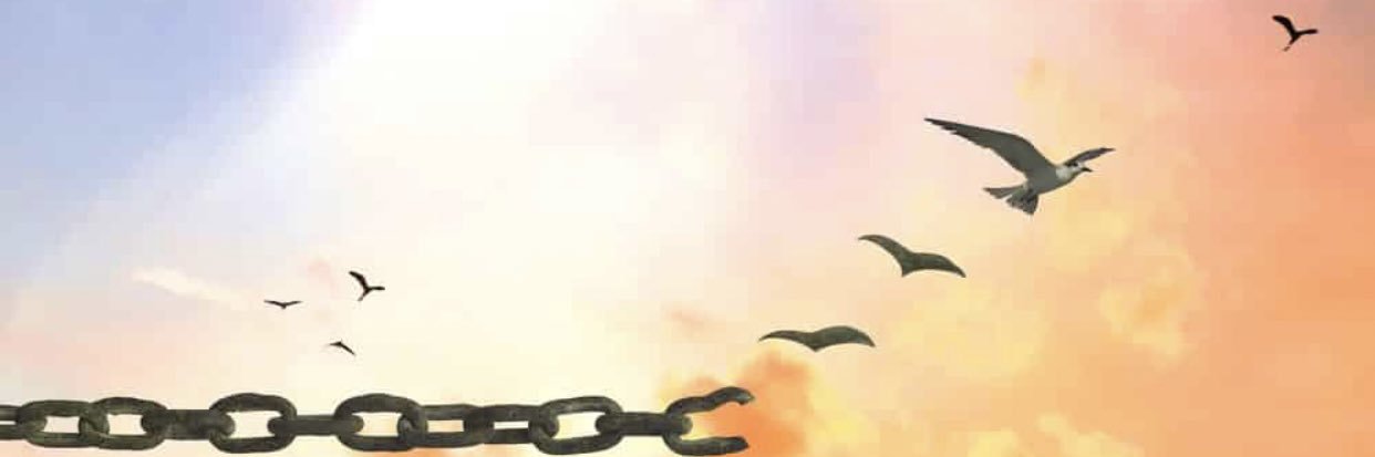 Lousse101's profile banner image