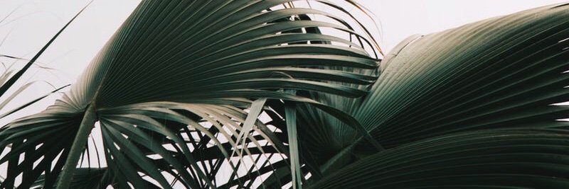 KARENis_sharing's profile banner image