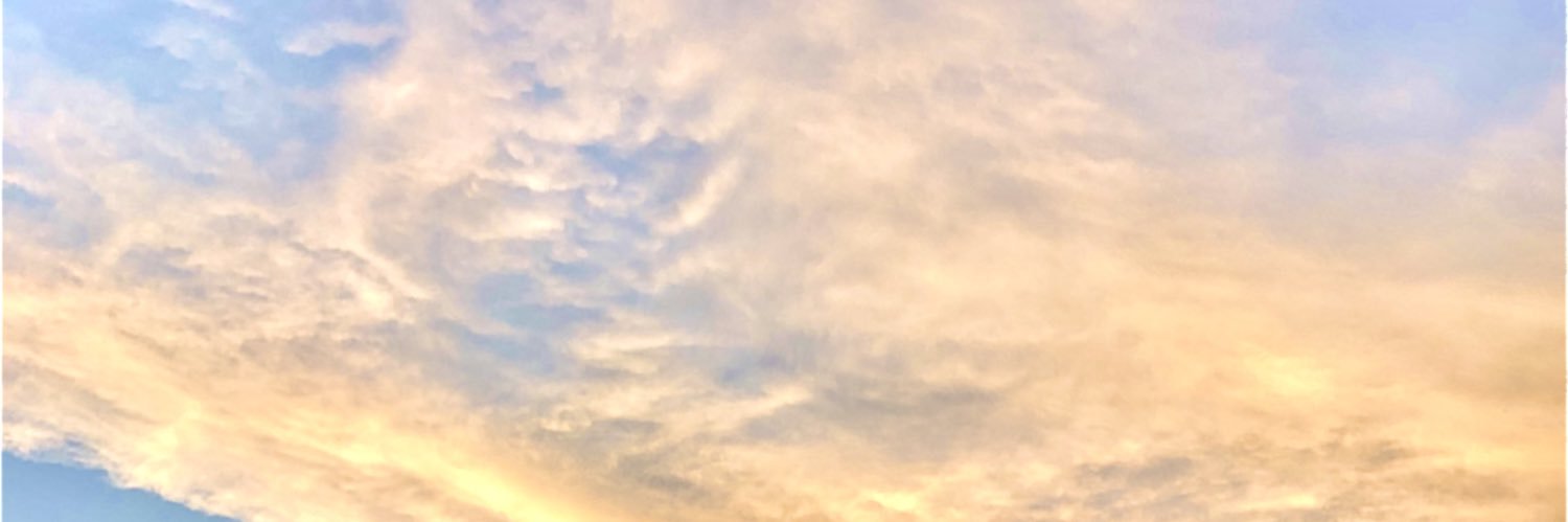 maritzalmayorga's profile banner image