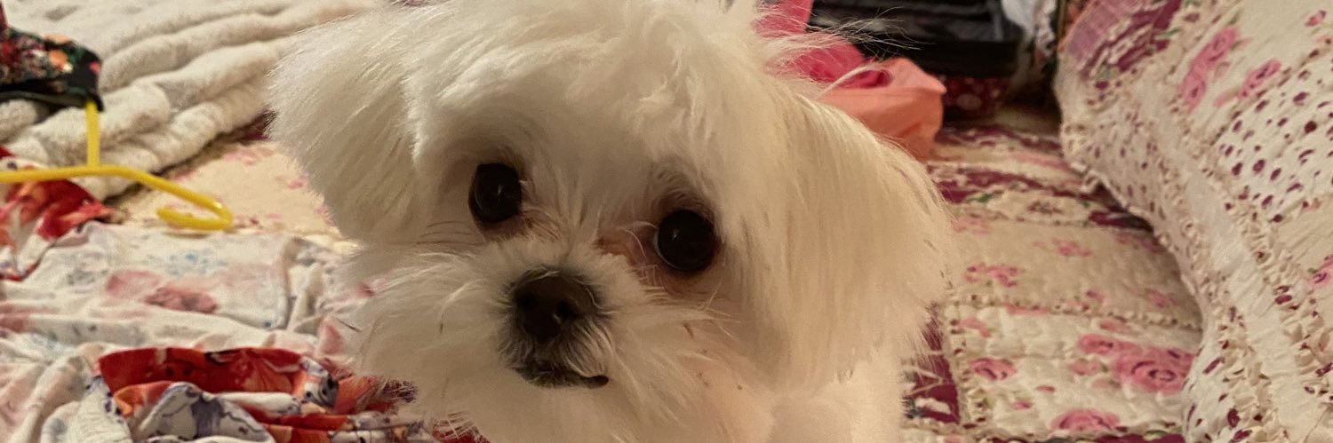 tappuppyj's profile banner image