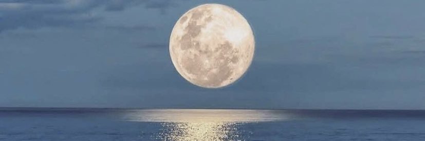 Jenny Don’t 🌻🩺 banner