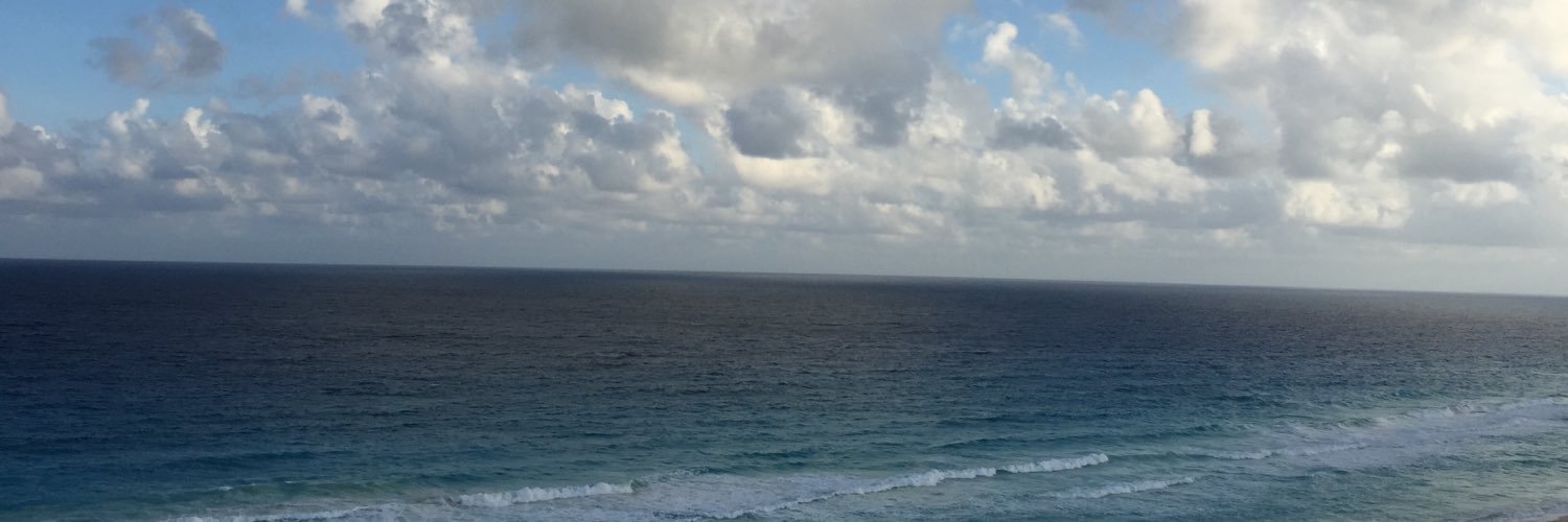 DanaSimcox's profile banner image