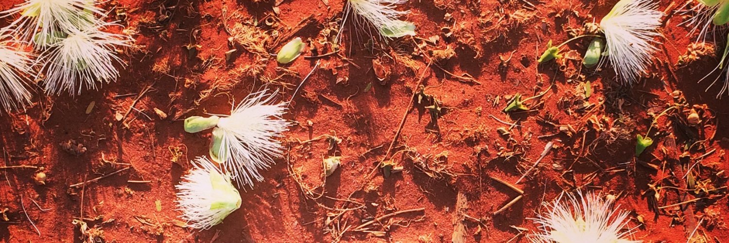 Clancy McDowell banner