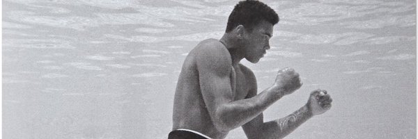 SheaPatterson_1 Profile Banner