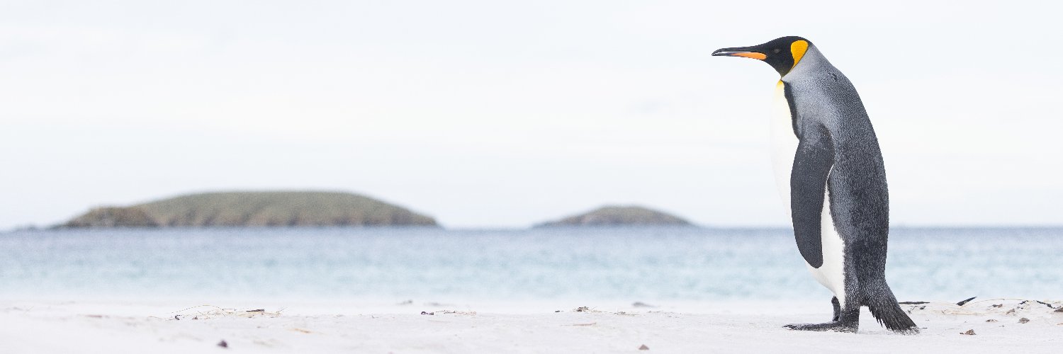 mckeedi's profile banner image