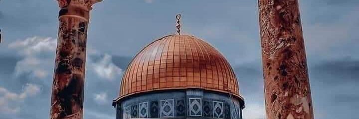 AdhamHassnaa's profile banner image