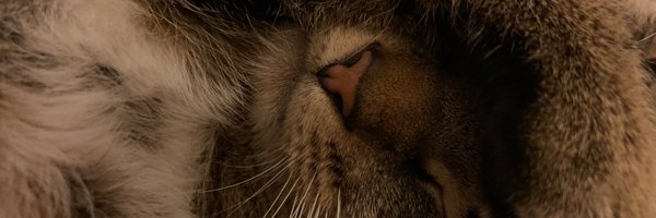 sedwardxx Profile Banner