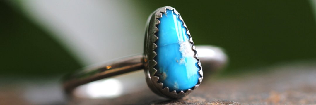 TrebirdBuffalo's profile banner image
