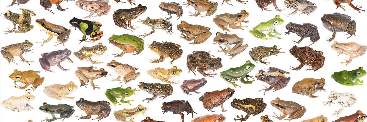 dumbassroach's profile banner image