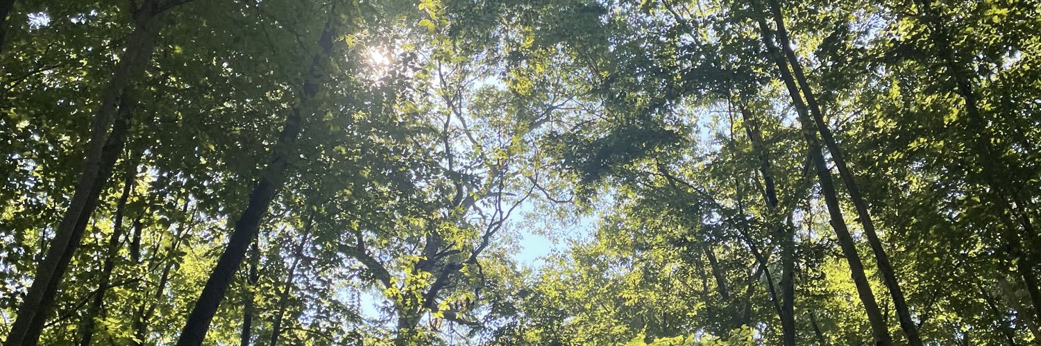 lyesgnar's profile banner image