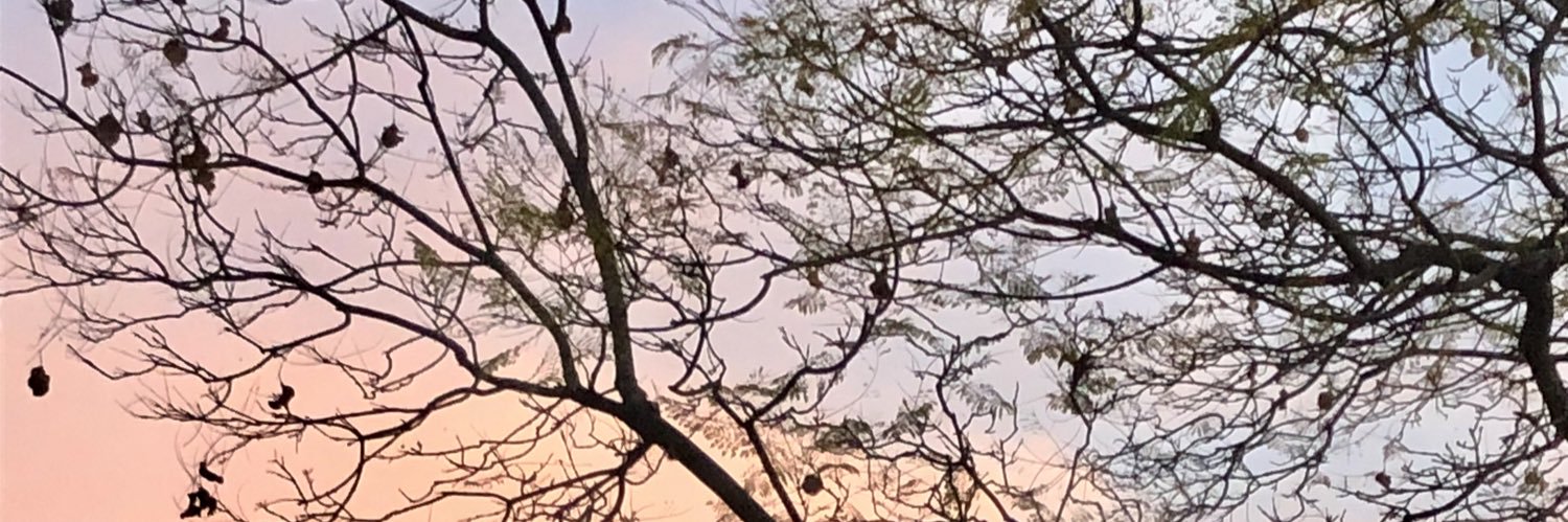 dariannathr's profile banner image