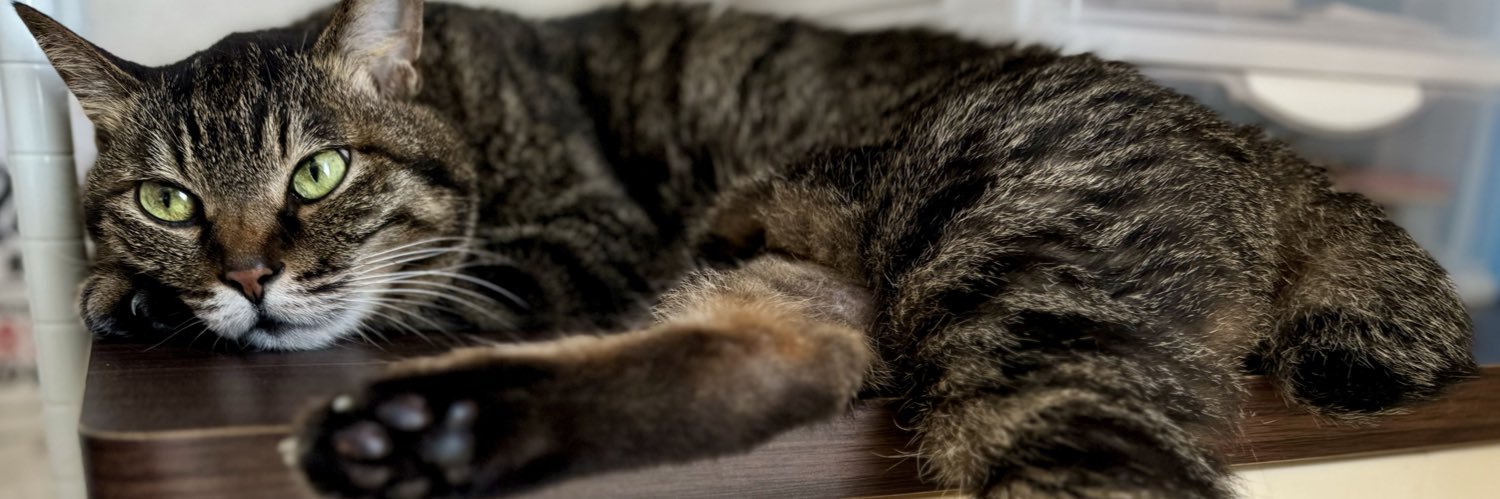 𝕓𝕠𝕝𝕕 𝕓𝕠𝕕𝕪 banner