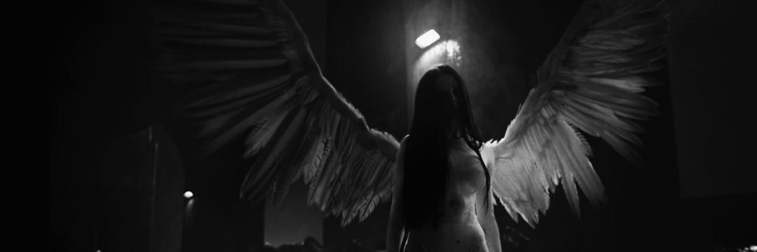 Rodriguezsean24's profile banner image