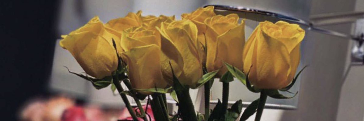 Ar_9732's profile banner image