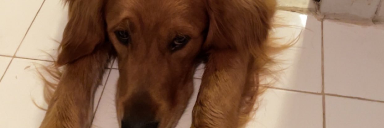 EvanMullin1's profile banner image
