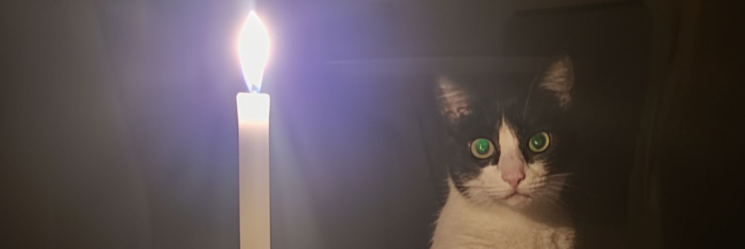 LForpe's profile banner image