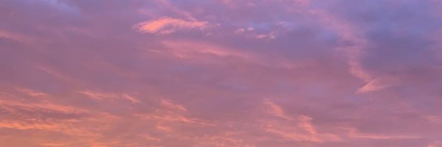 emilyrobertson_'s profile banner image
