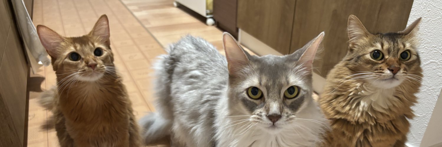 ememeanimal's profile banner image
