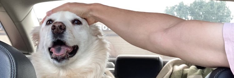 daniel_barrett_'s profile banner image