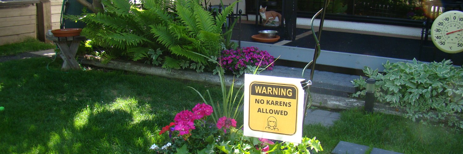 Sara T e m p e s t 🍁 banner