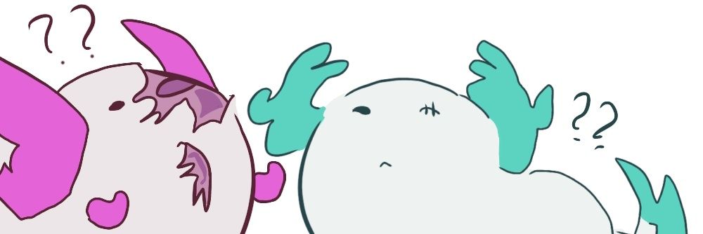 LFurreh's profile banner image