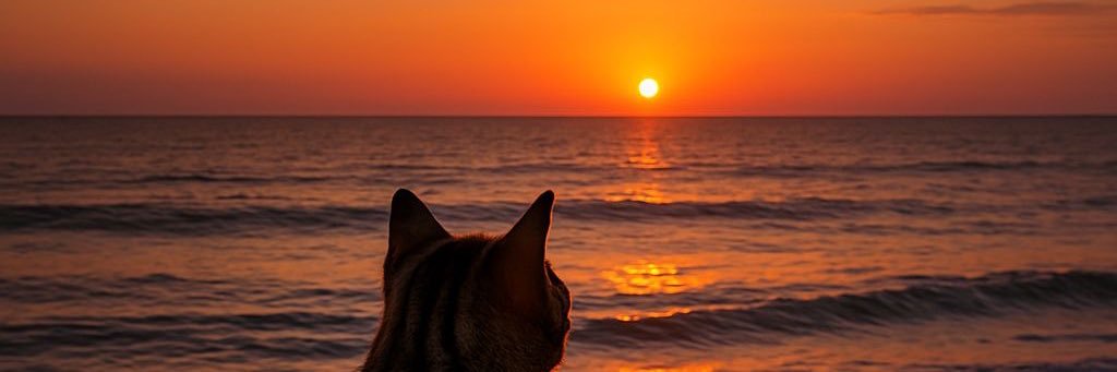 𝐅𝐭𝐦𝐞 banner