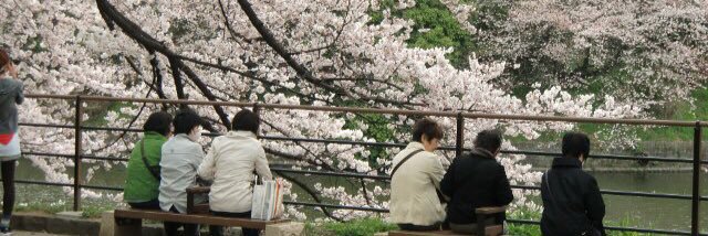 dodorochan ドドロチャン banner