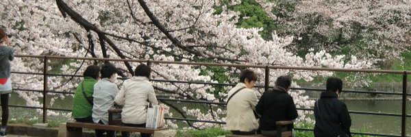 dodorochan Profile Banner