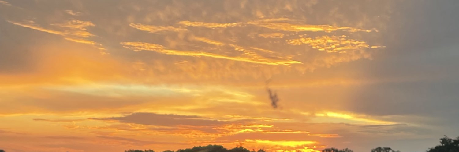 AngVG_19's profile banner image