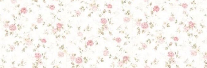 Boom_BuBi's profile banner image