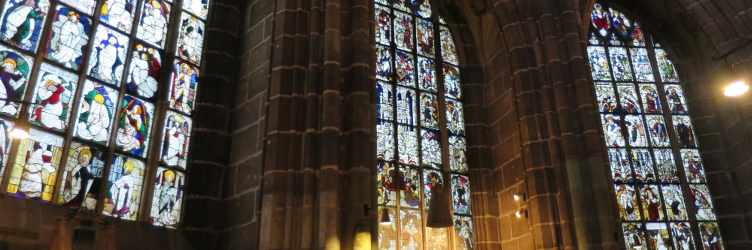 Schnerin's profile banner image