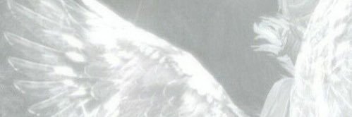 lil clearpill's banner