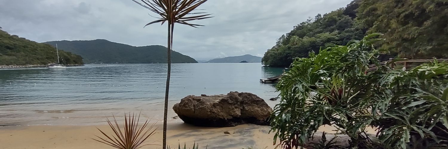 Dev Tesão Script banner