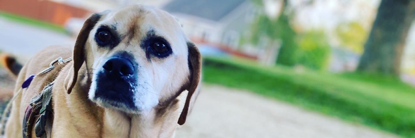 K_mart89's profile banner image