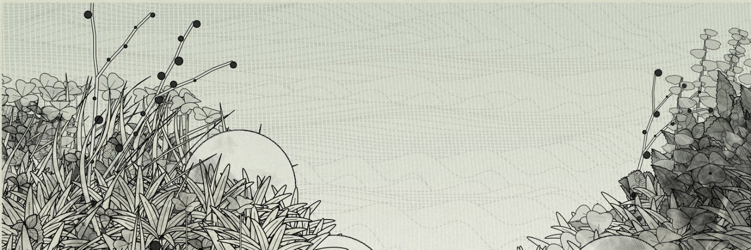 drzee banner