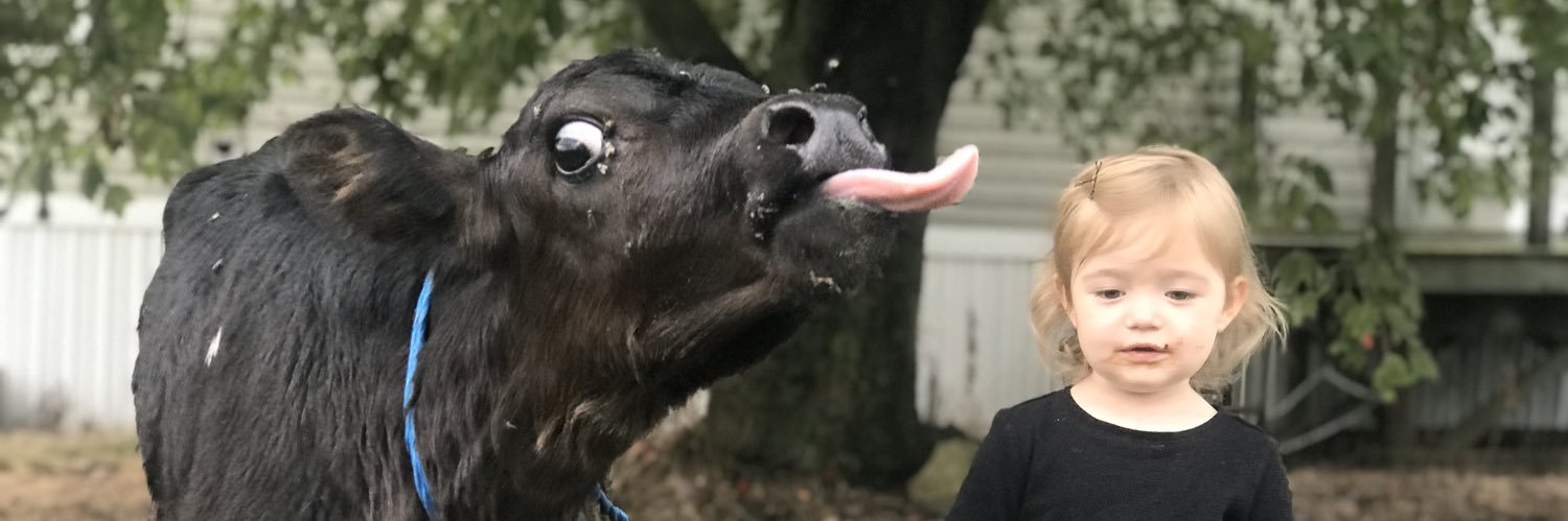 danstearns26's profile banner image