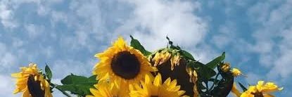 im_ndah's profile banner image