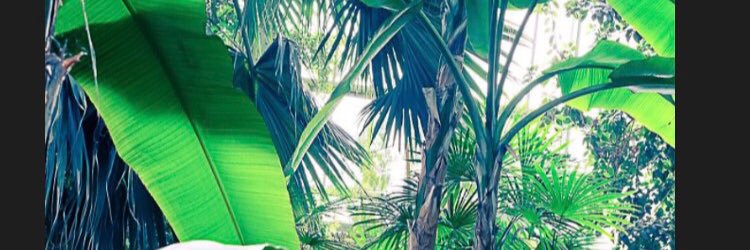 KD_marie's profile banner image