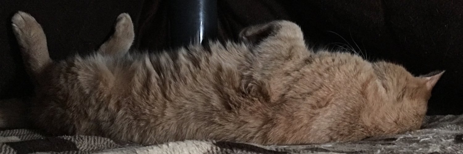chipotantan's profile banner image