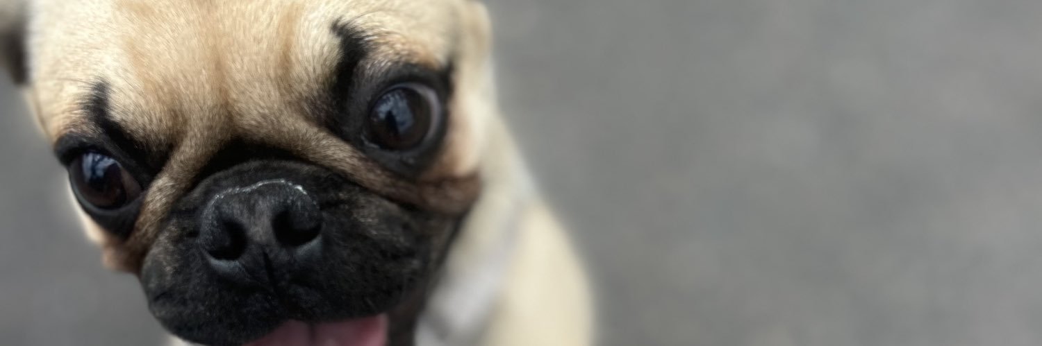 LuckyL_ee's profile banner image