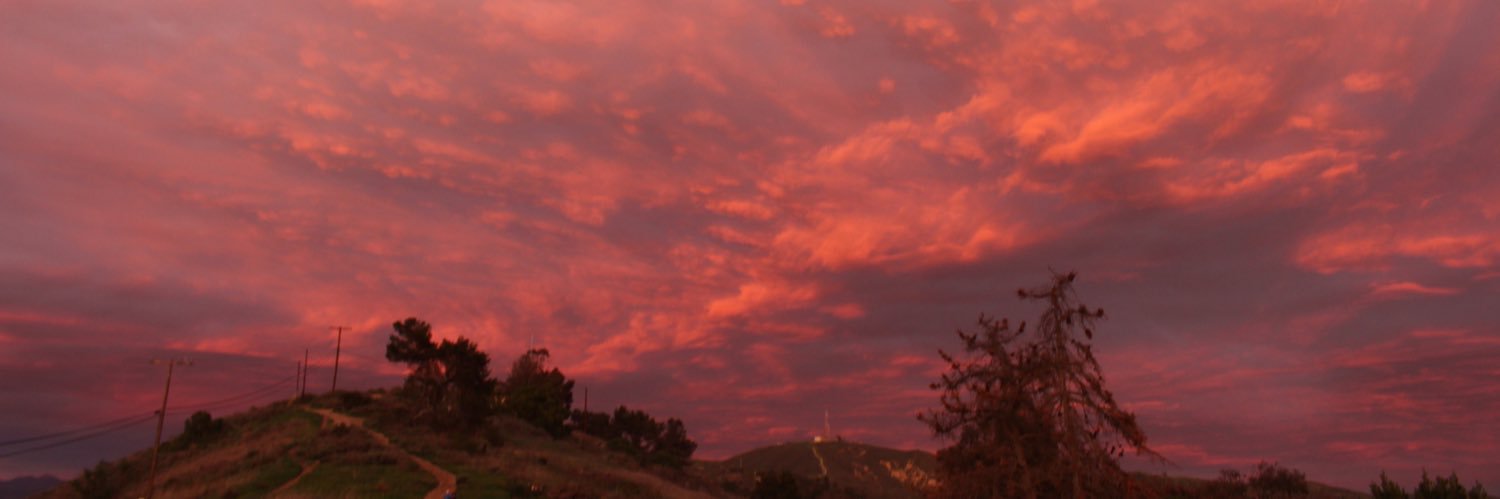 SBrigmann's profile banner image