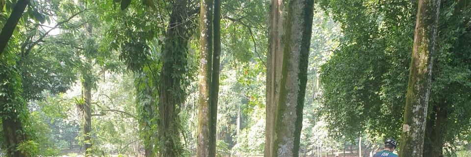 basya_13's profile banner image