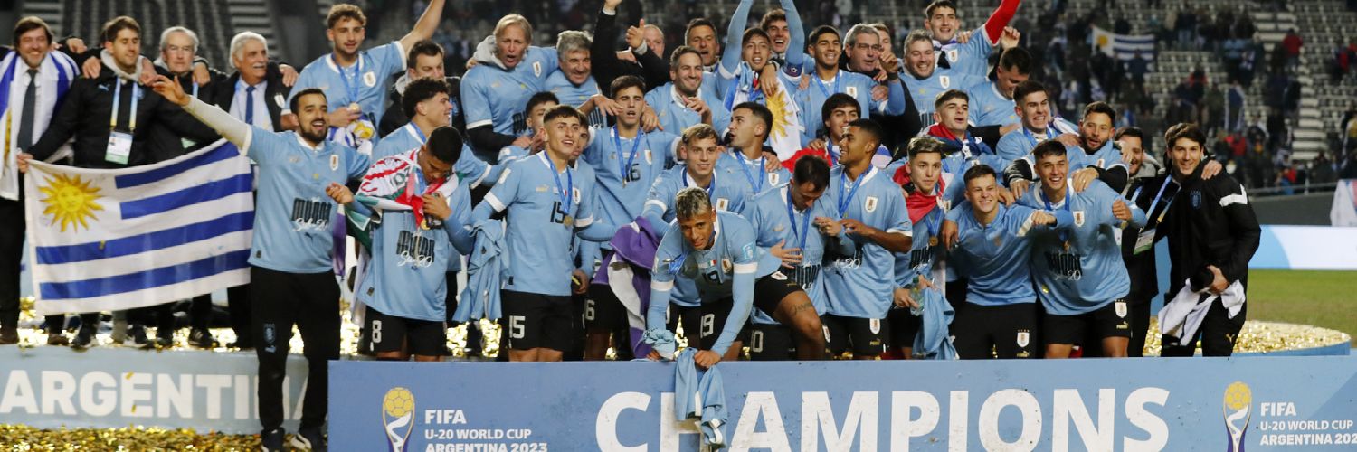 silvia magdalena banner