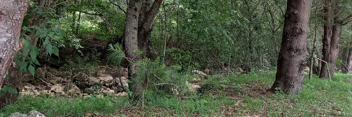 serch_ps's profile banner image