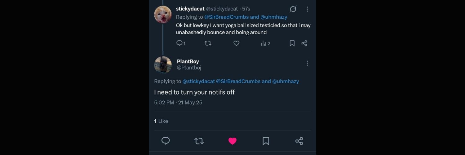 stickydacat's banner